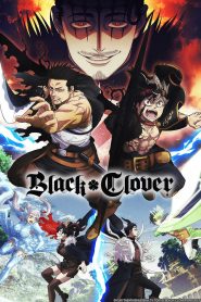 Black Cover